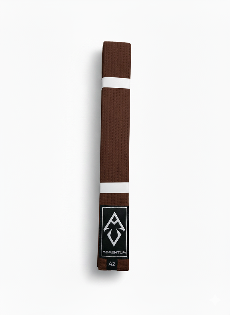 BELT - BROWN