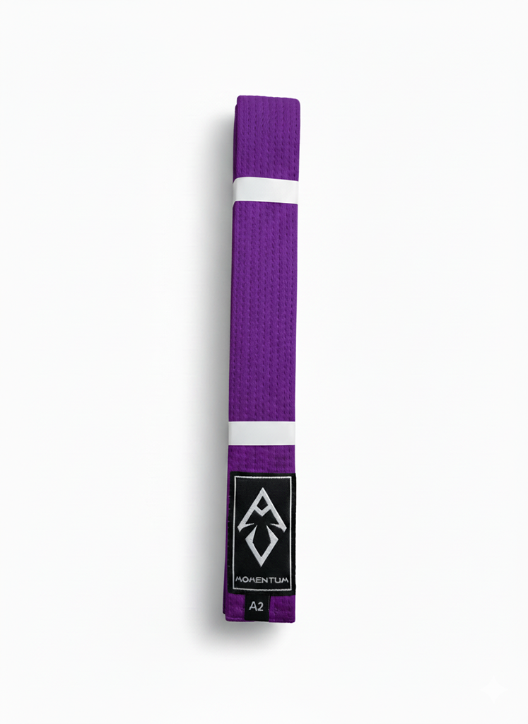 BELT - PURPLE